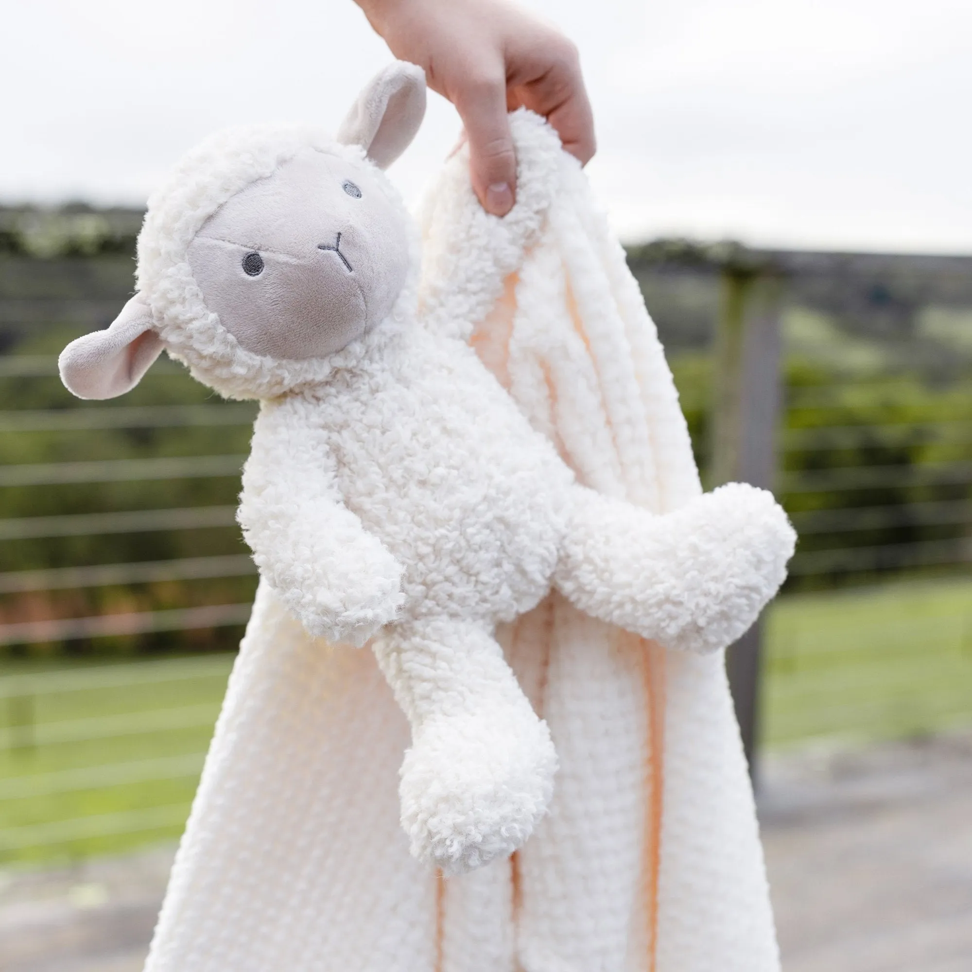 Plush Toy & Blanket - Farmyard Lamb