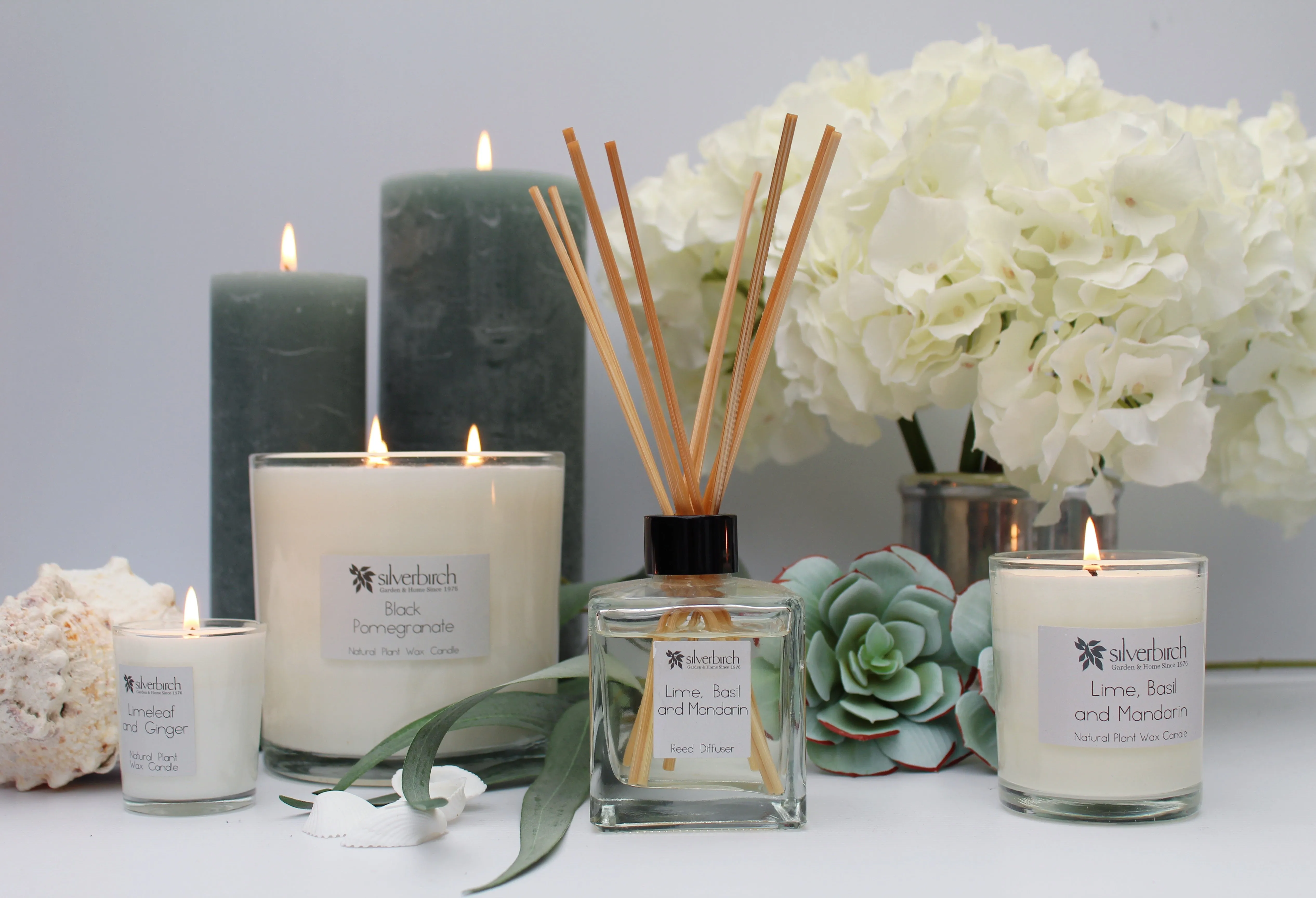 Premium, Soothing Aromatherapy Diffusers for Ultimate Relaxation