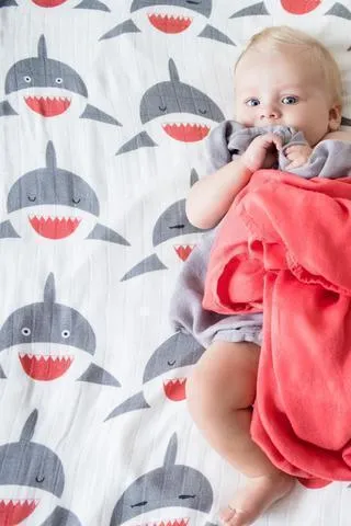 Tula Blanket Set - Chomp