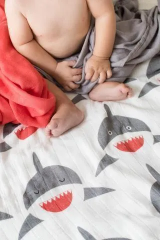 Tula Blanket Set - Chomp