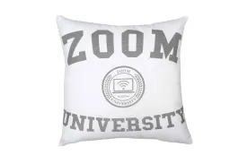 Zoom University Cushion